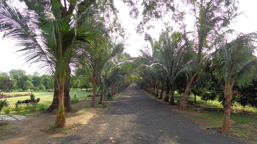 Champaner Heritage Resort Rawalia Exterior photo